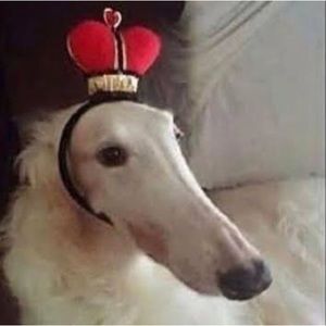 Meet your Posher, Gabrielle